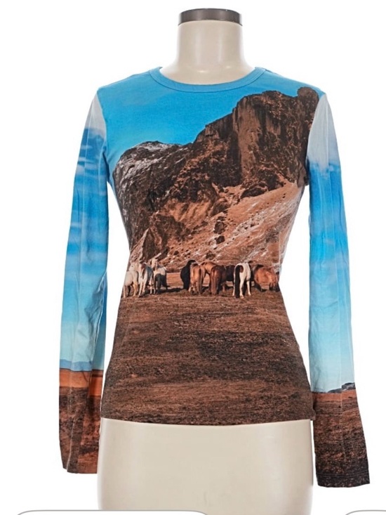 Zara Tops - Zara Western Scene Print Long-Sleeve Size M